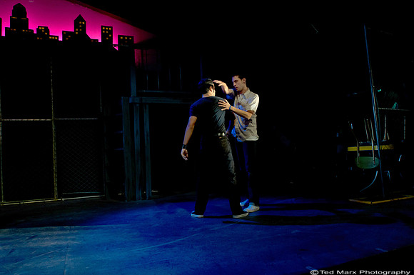 westside_2010_adj--365